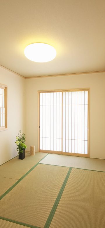 手机屏幕上显示质谱清言首页的搜索输入框，光标停在母离子质量栏，背景是浅米色的简洁界面